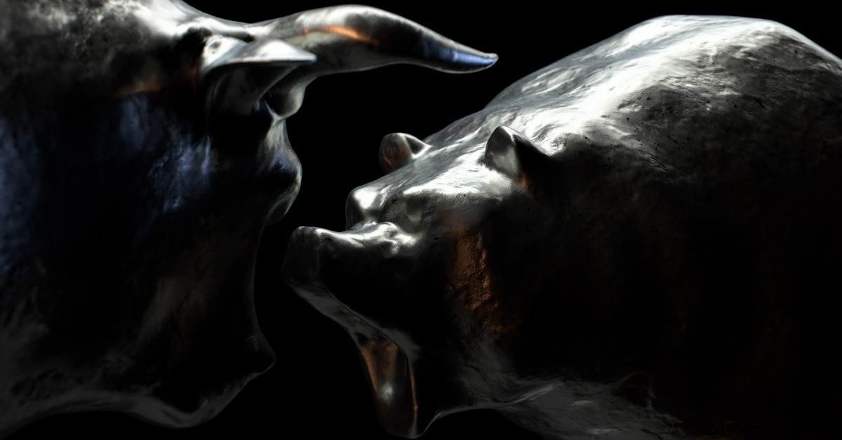 A bear and a bull clash.