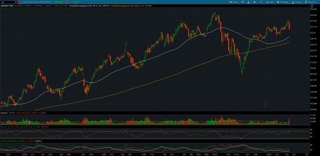 Live Cattle Continuous Daily Chart (/LE)