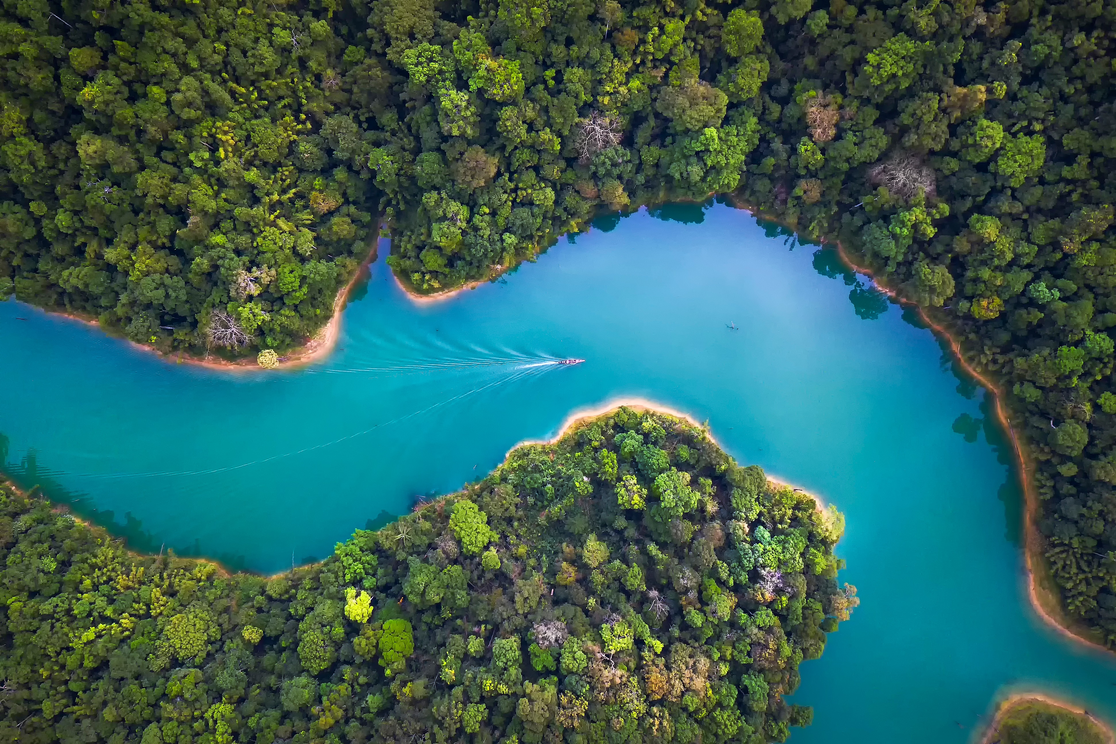 arial view of a winding river