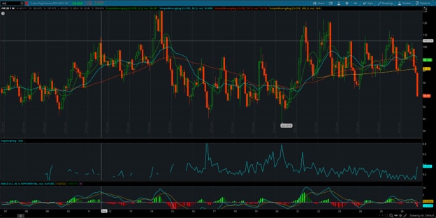 Lean Hog (/HE) Monthly Chart