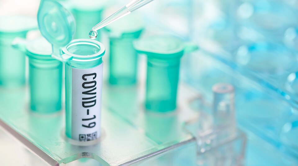 A Vaccine: The Best 2020 Holiday Gift